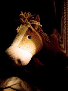 Das Pferd von Nahem