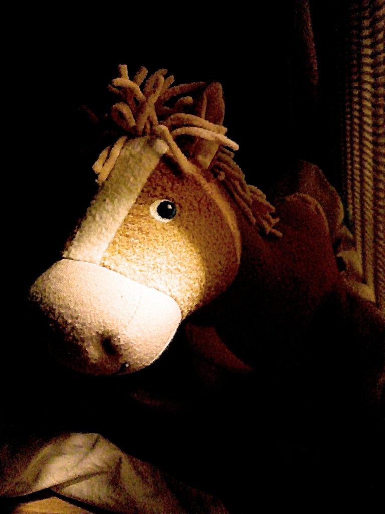 Das Stoffpferd guckt in die Kamera