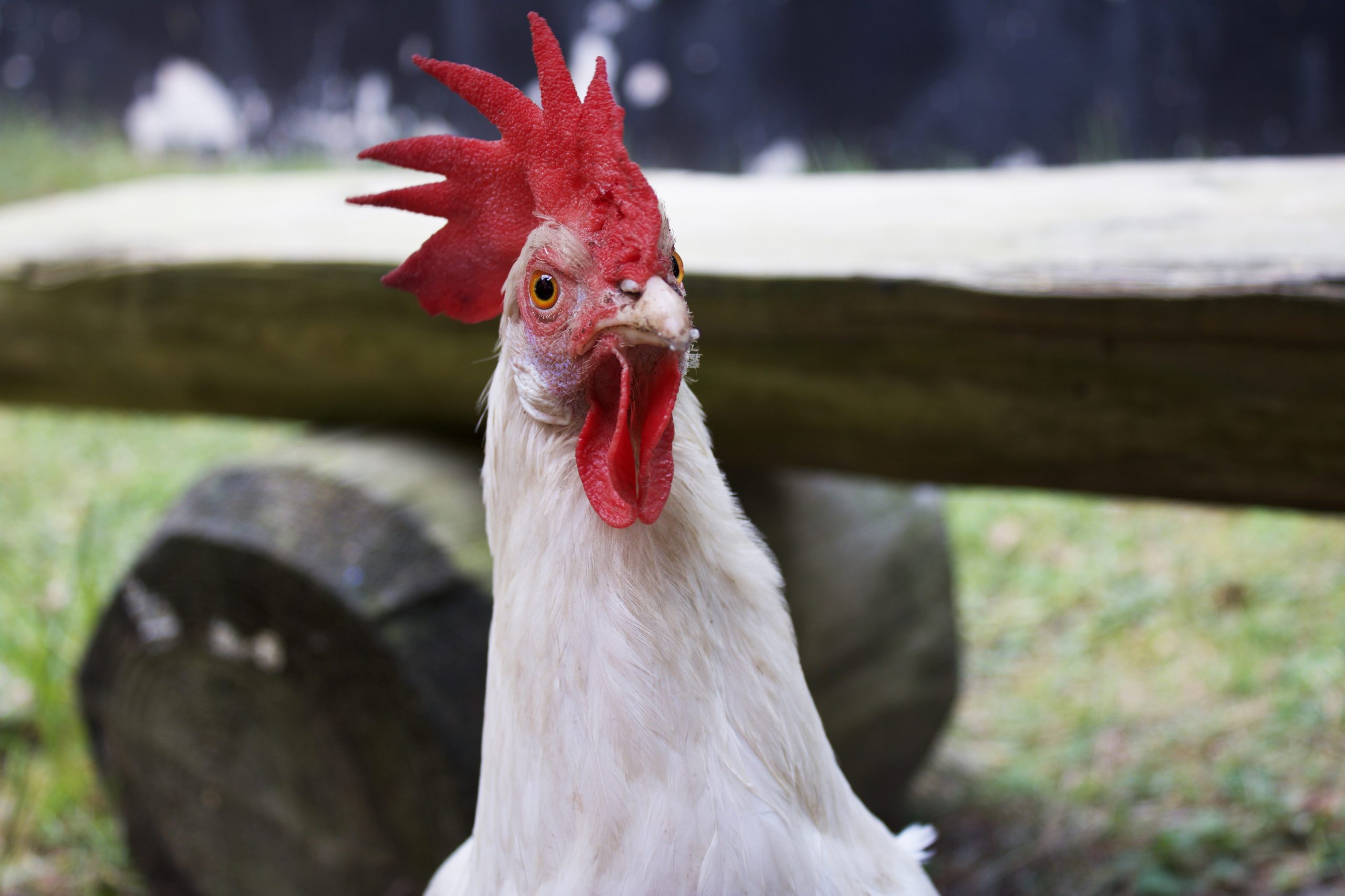 Back to nature in Familie