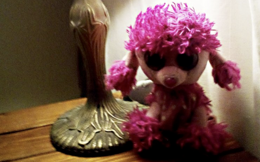 Rosaner Plüsch Pudel